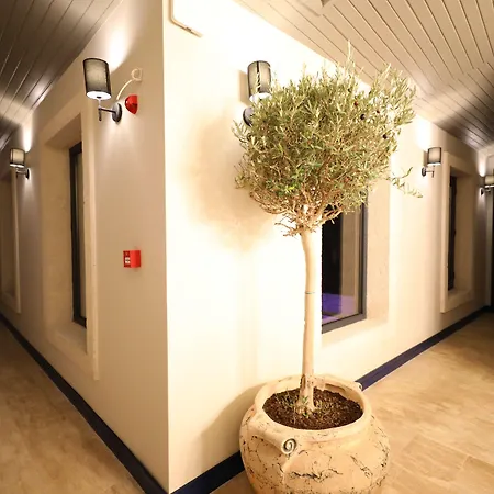 Ariel Bed & Breakfast